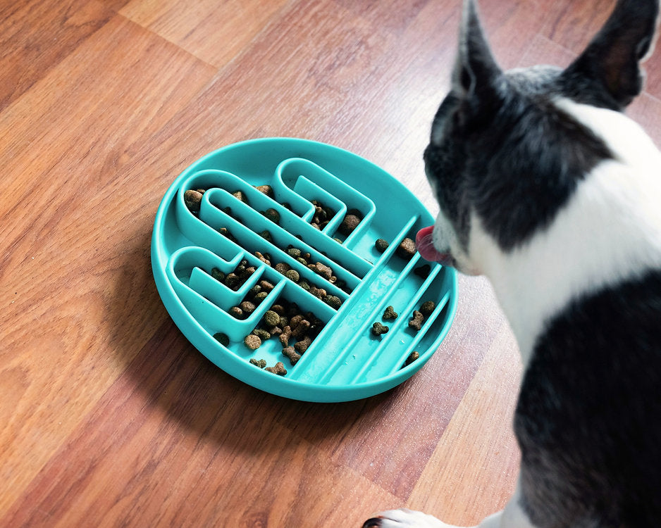 Slow Feeder Dog Bowl - Turquoise