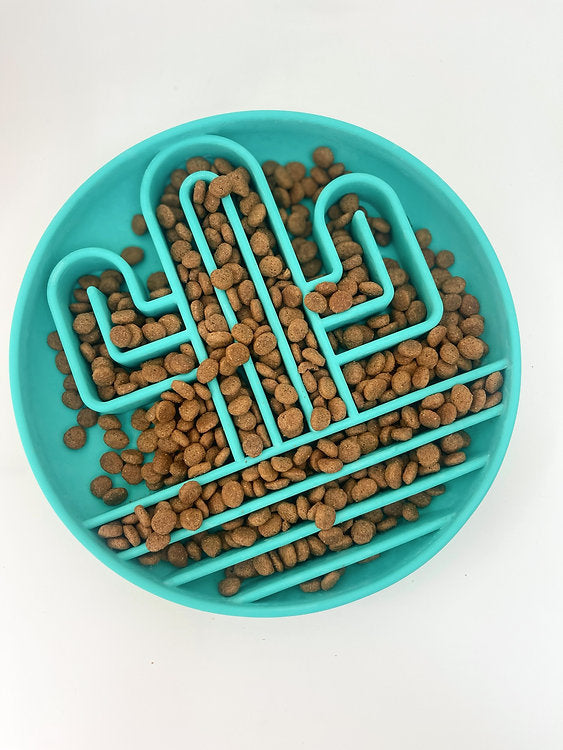Slow Feeder Dog Bowl - Turquoise